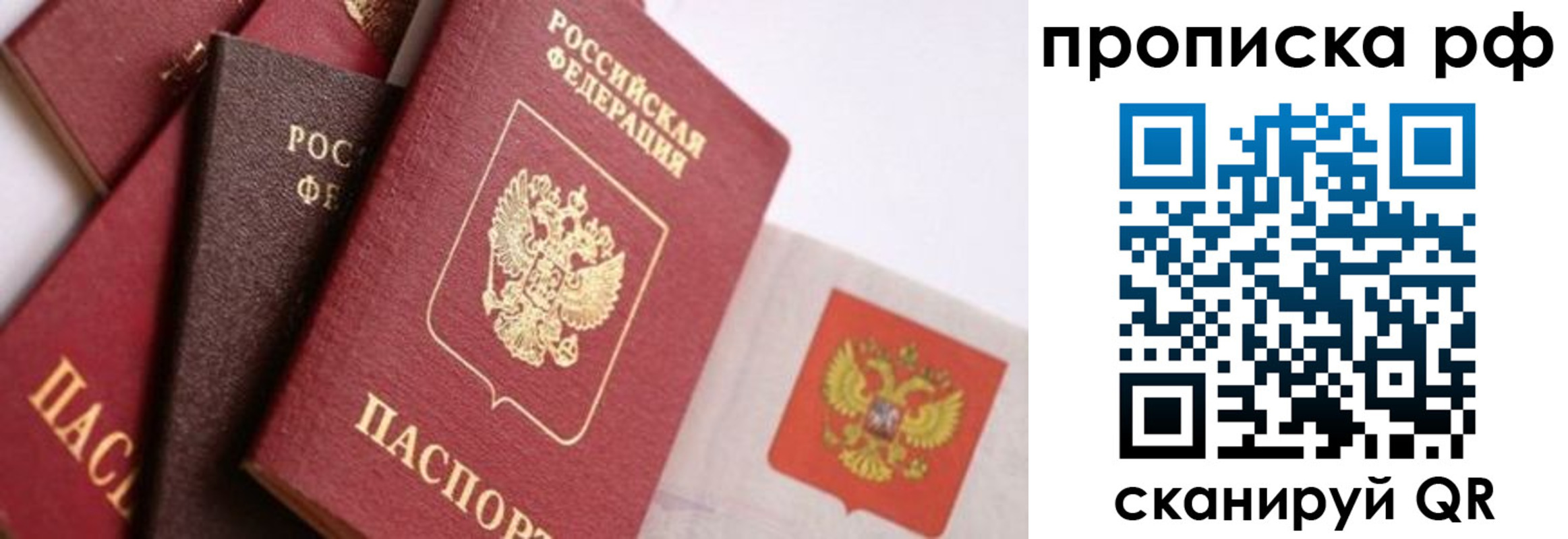 найти адрес прописки в Ковдоре